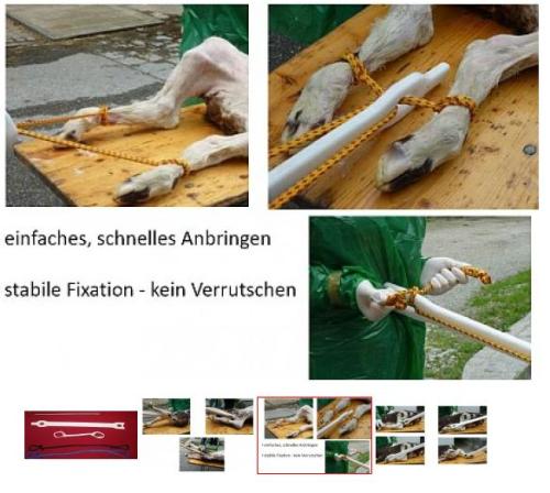 AIUTAPARTO GYN-STICK
