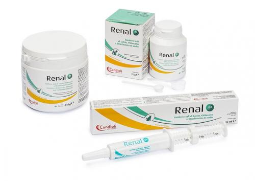 RENAL P POLVERE 70 GR