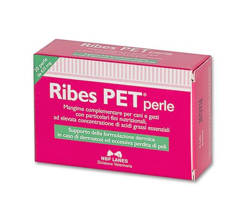 RIBES PET 60 PERLE RECOVERY