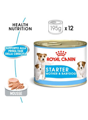 R.C. cane Starter MOTHER & BABYCAT 195 GR