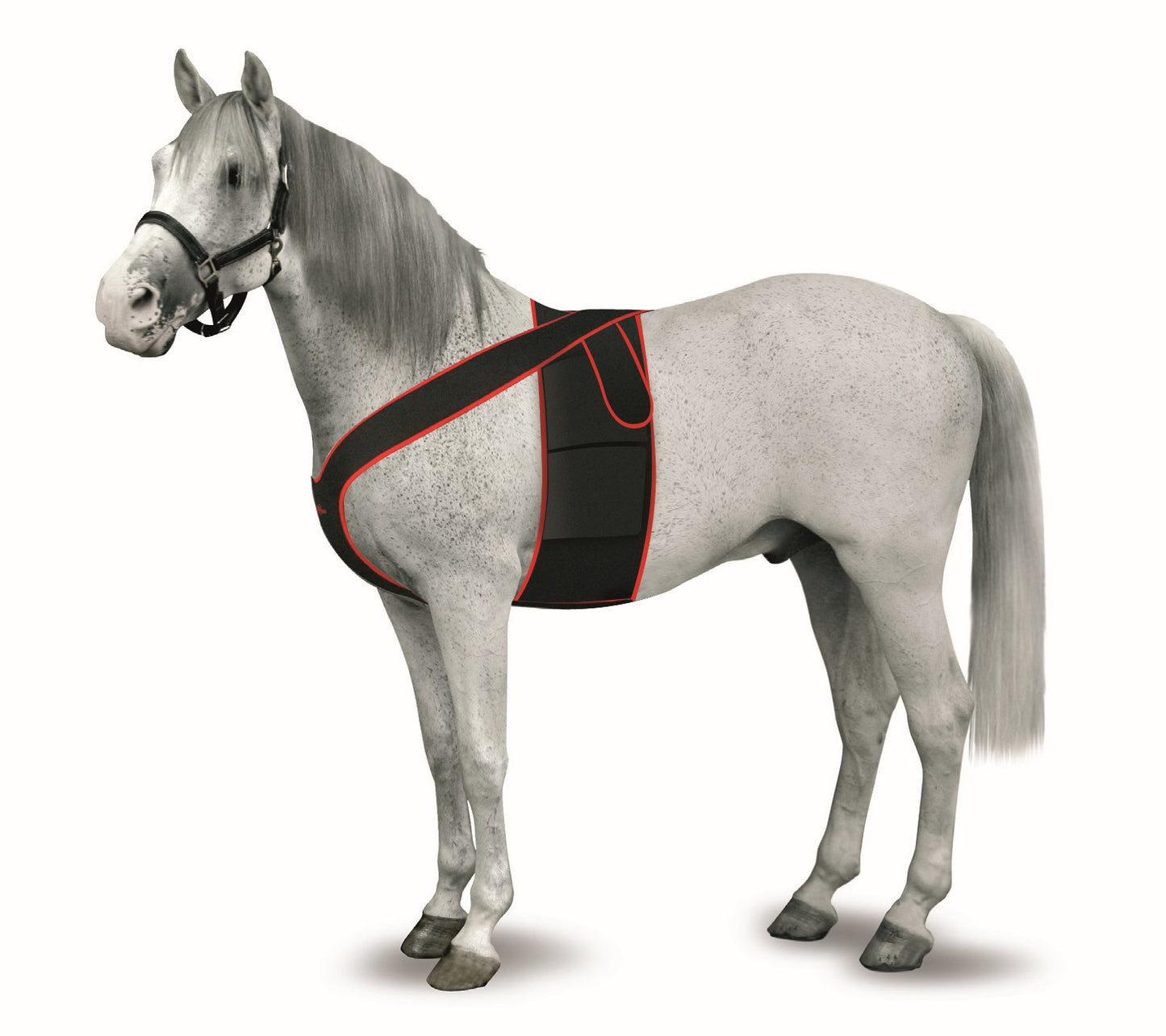 KRUUSE Televet Electrode Support, Misura L