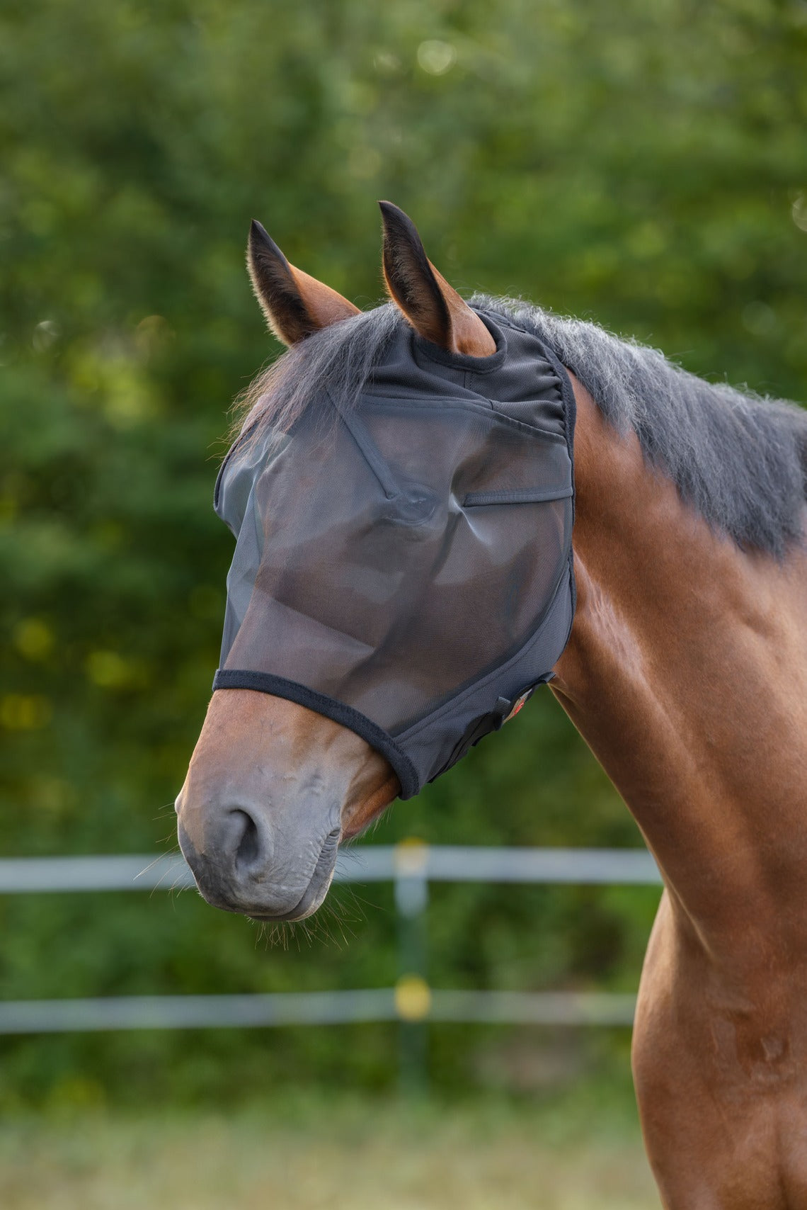 Maschera antimosche pony - Kerbl 321351
