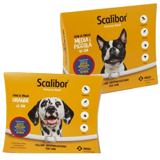 COLLARE SCALIBOR LARGE 65 CM