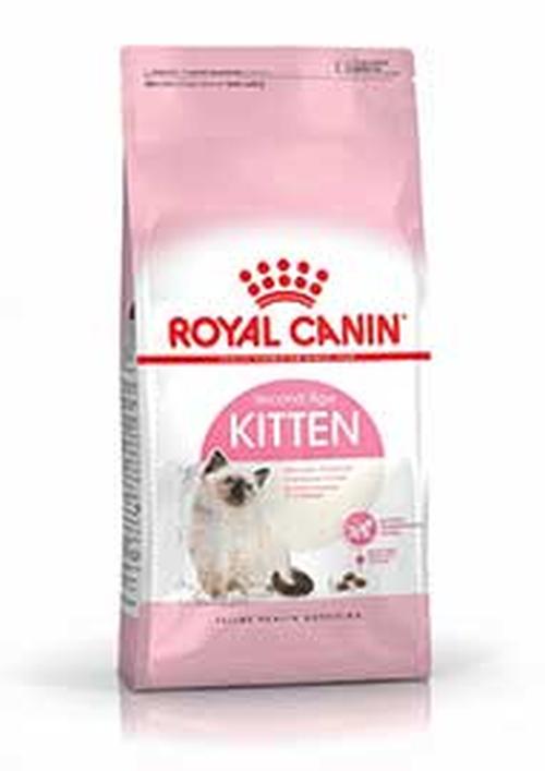 R.C. GATTO KITTEN Instinctive