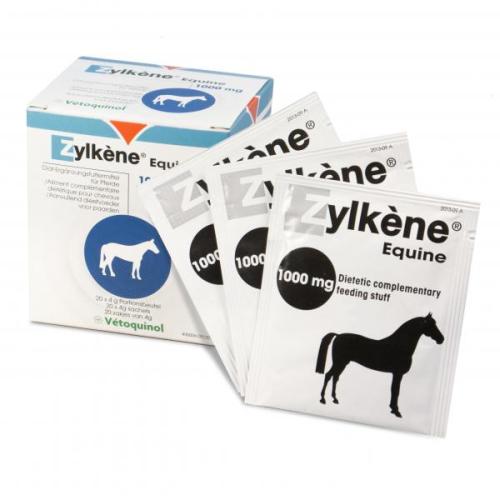 ZYLKENE EQUINI 20 BS 1G