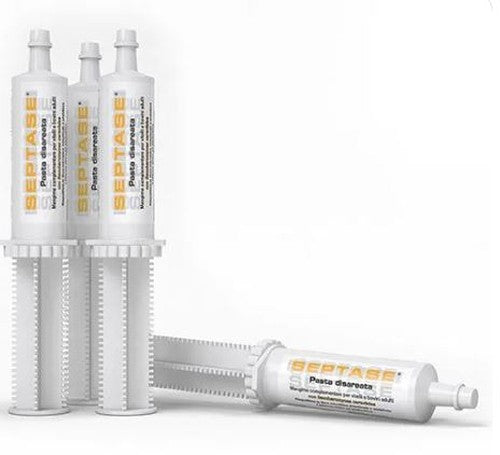 SEPTASE 100 GR.