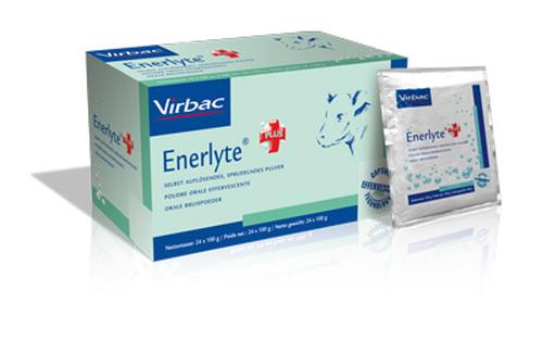ENERLYTE PLUS 24 BUSTE DA 100 GR