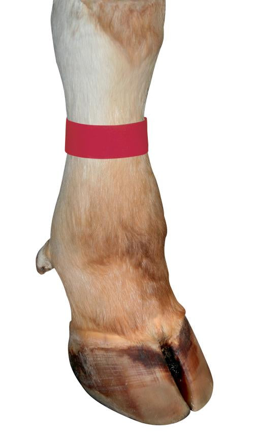 NASTRO VELCRO SEGNABOVI ROSSO, 10 PZ