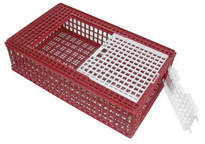 CASSETTA TRASPORTO POLLAME 95 x 57 x 27,5 cm