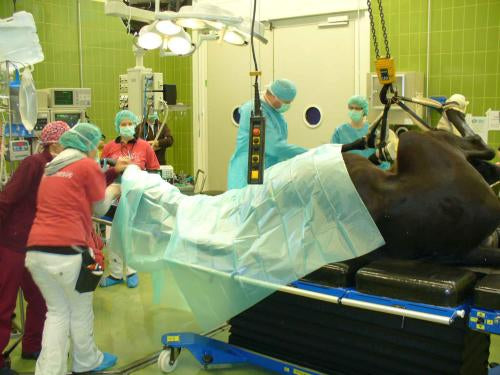 TELO OPERATORIO BUSTER STERILE, VERDE, 120 X 180 CM