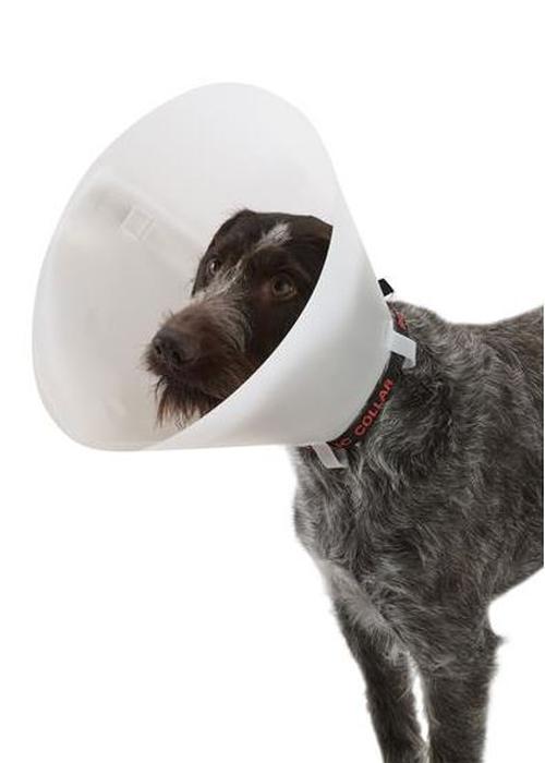 COLLARE ELISABETTIANO BUSTER BIANCO, 35 CM