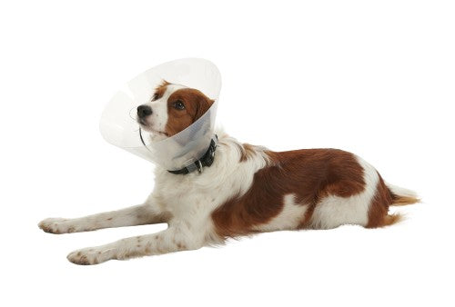 Collare elisabettiano Buster Clic Collar, trasparente, 15 CM