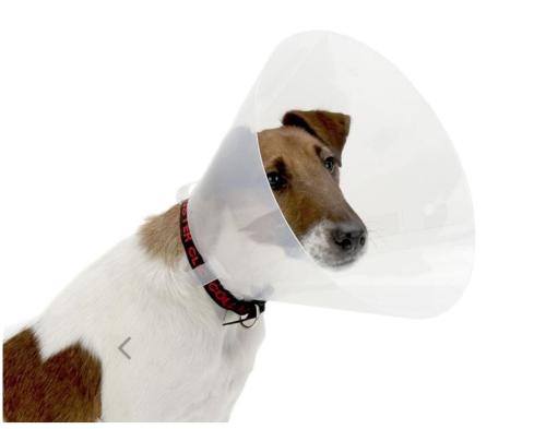 Collare elisabettiano Buster Clic Collar, trasparente, 25 CM