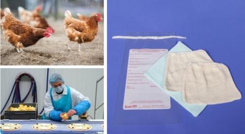 KIT TRYPTONE STERISOCKS un paio, impregnati, in sacchetto “presto-chiuso”