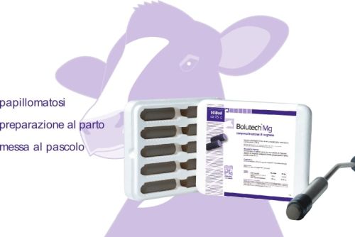 BOLUTECH MG 1 BOLO SINGOLO, 85 Gr.