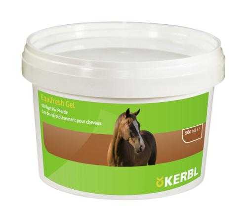 Equifresh GEL 500 ML