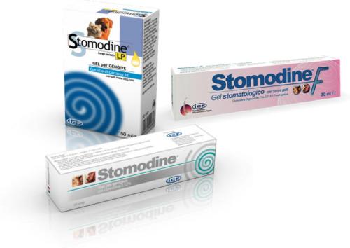 STOMODINE GEL 30 ML