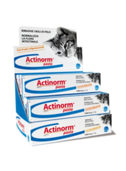 ACTINORM PASTA GATTI 65 GR