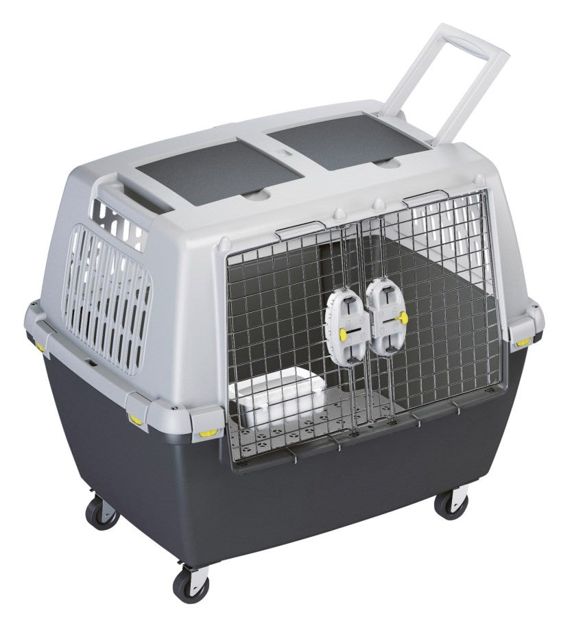 Gulliver Touring IATA 80 x 58 x 62 grau grigio
