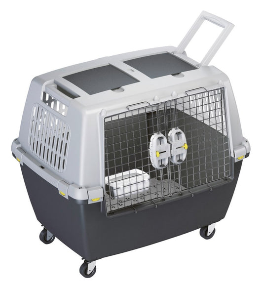 Gulliver Touring IATA 80 x 58 x 62 grau grigio