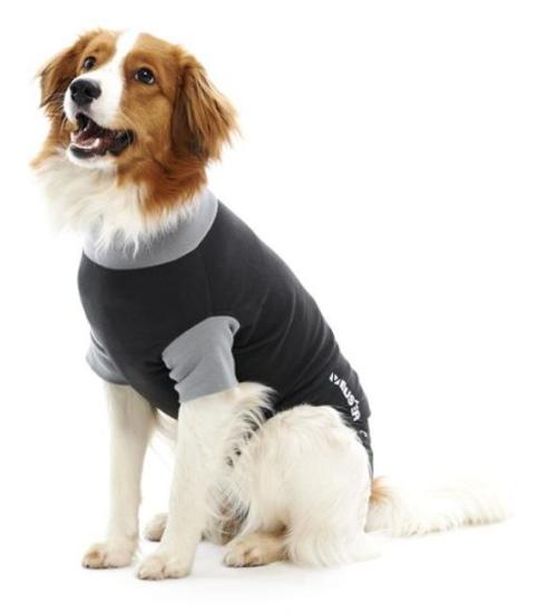 BUSTER Body Suit EasyGo, per cani, nero/grigio, 63 cm, Mis. XL