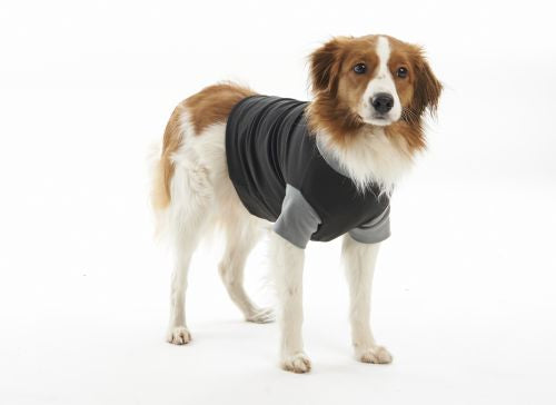 BUSTER Body Suit EasyGo per cani, nero/grigio, 76 cm, Mis. XXXL