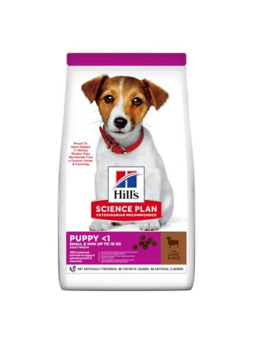HILL'S cane puppy small & Mini agnello & Riso, 6 Kg