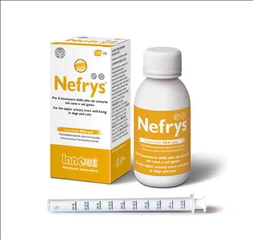 NEFRYS VEG 100 ML