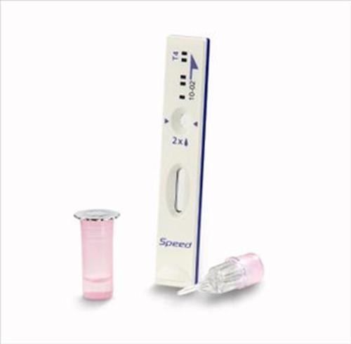 SPEED READER T4 6 TEST