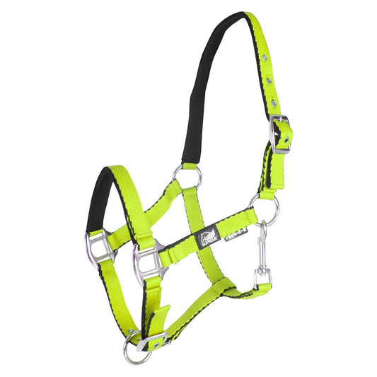 CAVEZZA PULEDRO IMBOTTITA SOFT TOUCH SUPREME orange Mis. 00