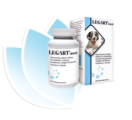 LEGART MAXI 60 CPR