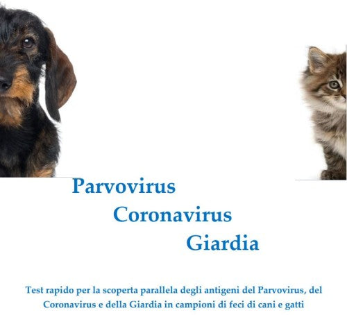 Test CORONAVIRUS (CCV - FCoV) + PARVOVIRUS (CPV - FPV), 20 Test