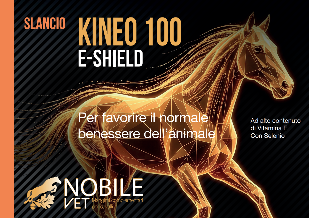 KINEO 100 1 lt