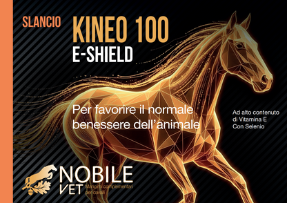 KINEO 100 1 lt