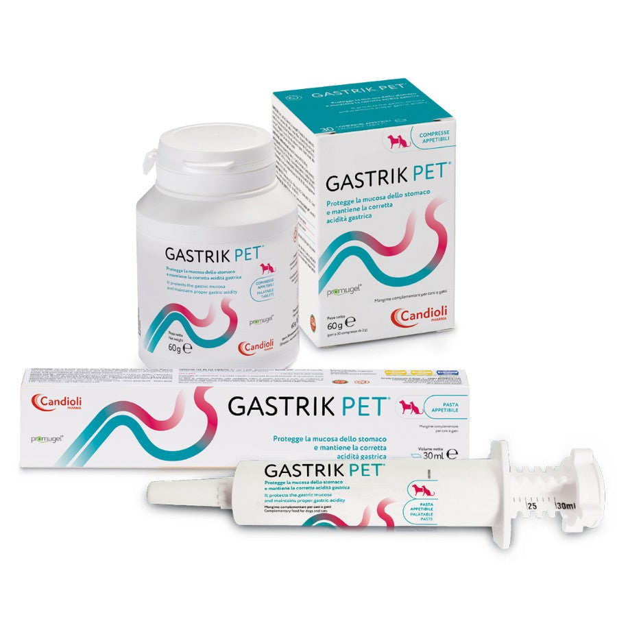 Gastrik pet siringa 30 ml